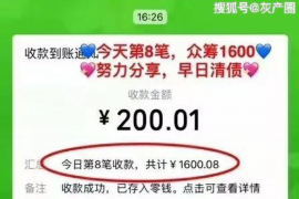 郓城为什么选择专业追讨公司来处理您的债务纠纷？